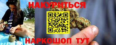 шишки Кингисепп