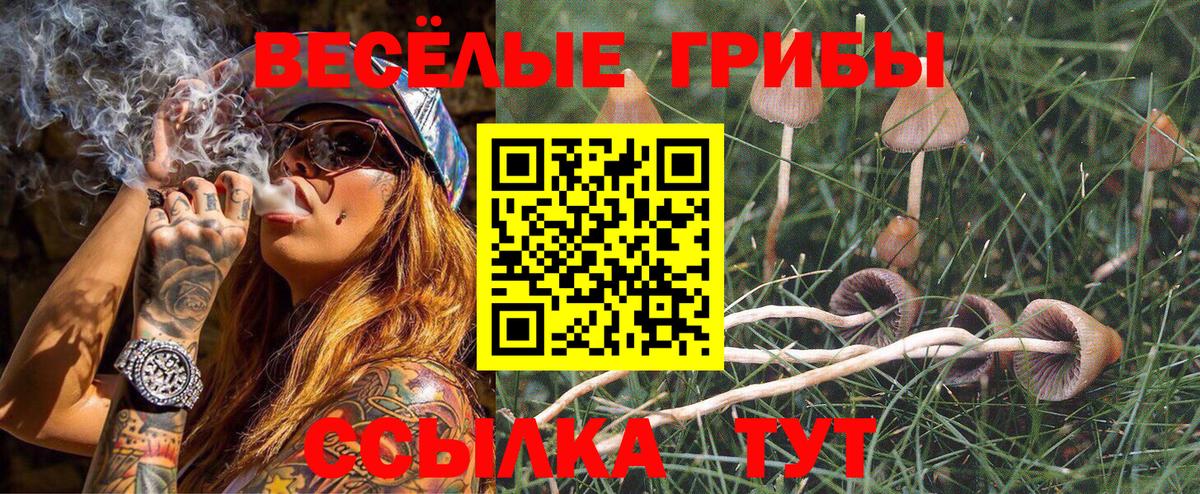 Галлюциногенные грибы мухоморы Арсеньев
